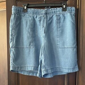 J. Jill Women's Light Blue Tencel Shorts M